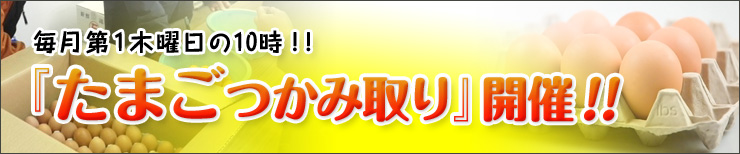 03banner_tamago