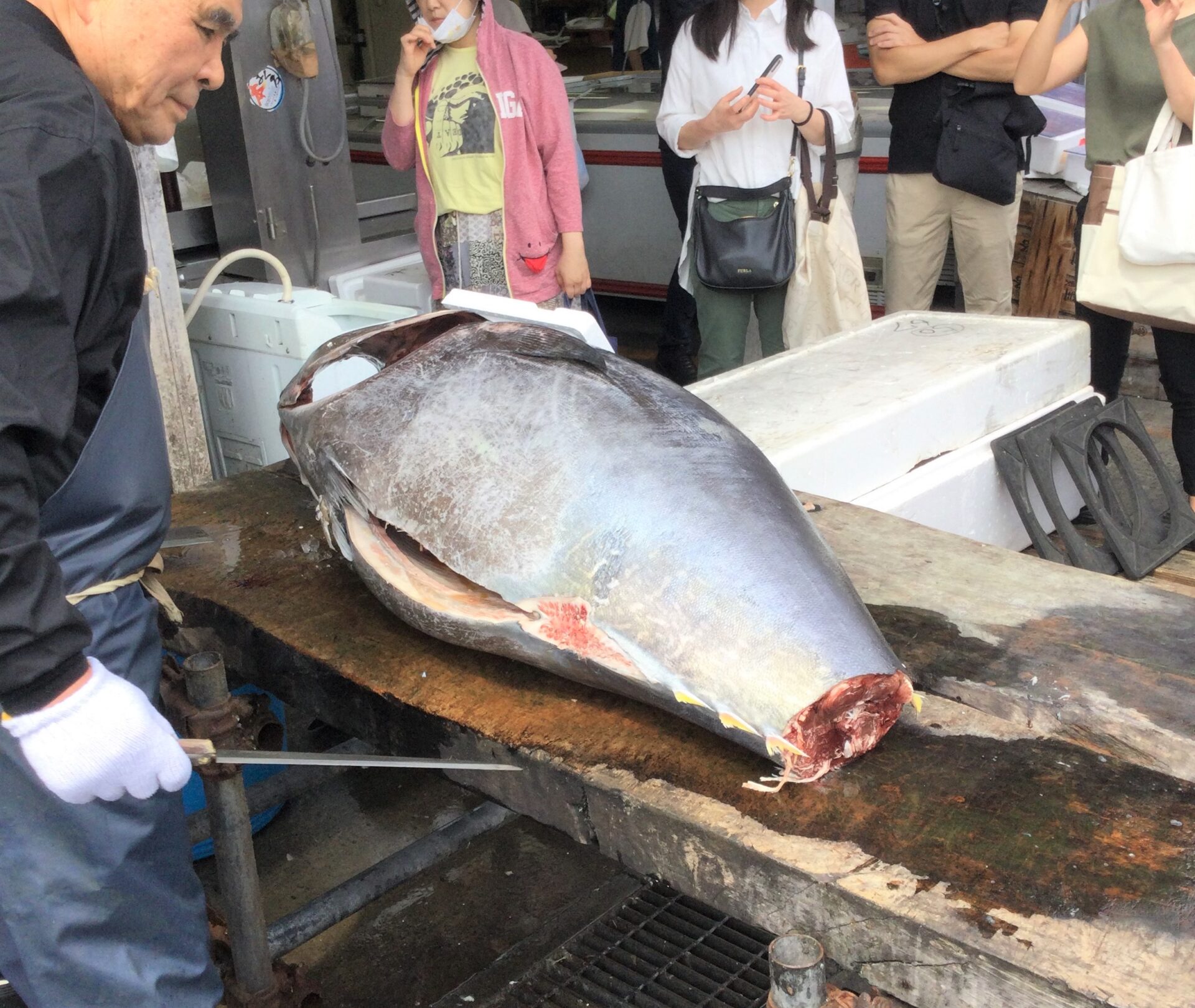 マグロ解体 福栄商事 20230610-c